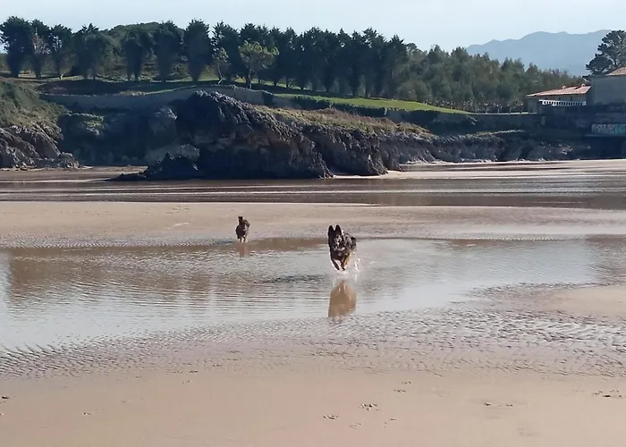 El Barco De Barro Barro (Llanes)
